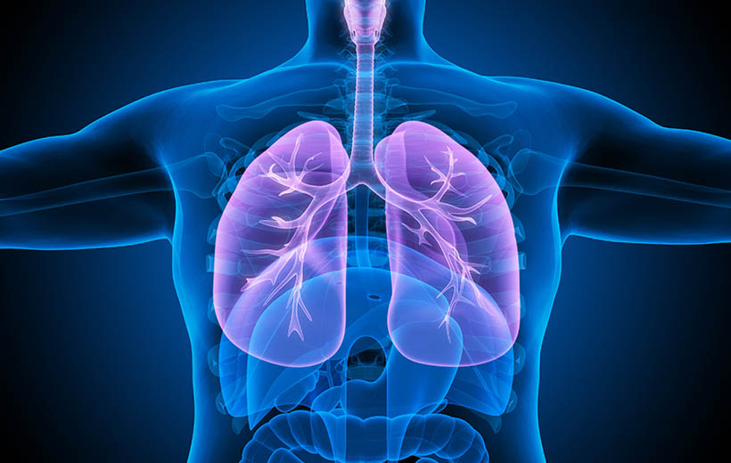 Пневмофиброз — нешуточное коварство. Как поддержать заболевшие лёгкие?