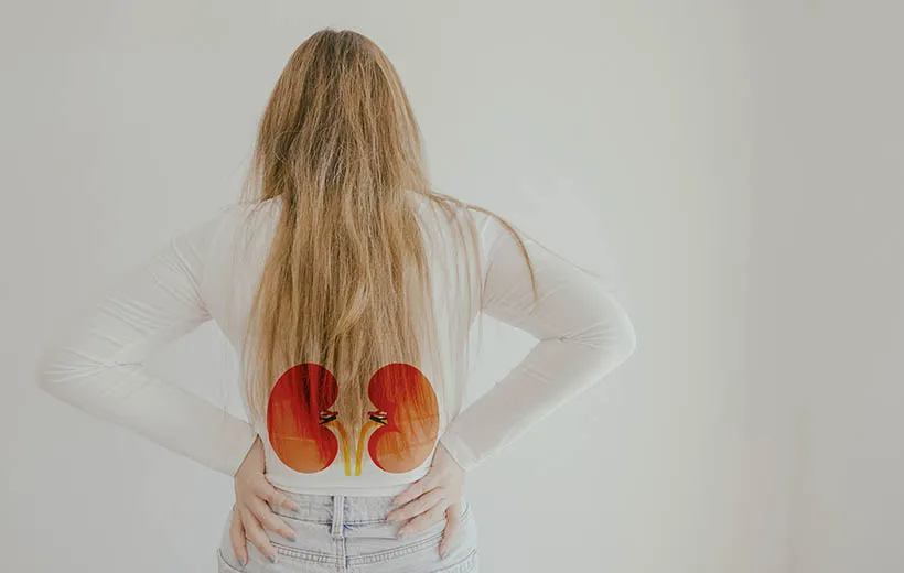 Киста почки Киста почки